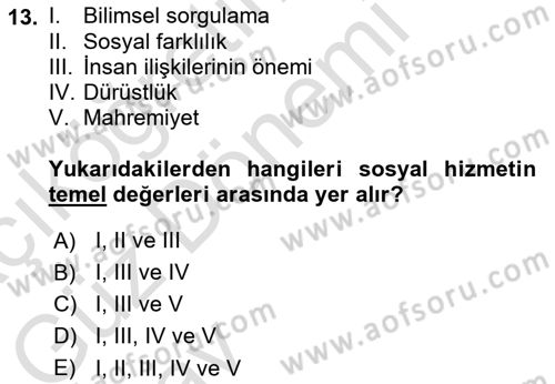 Sosyal Hizmet Mesleğine Giriş Dersi 2024 - 2025 Yılı (Vize) Ara Sınav Soruları 13. Soru