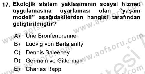 Sosyal Hizmet Mesleğine Giriş Dersi 2024 - 2025 Yılı (Vize) Ara Sınav Soruları 17. Soru