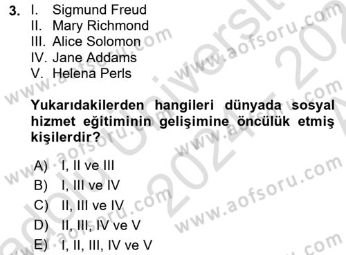 Sosyal Hizmet Mesleğine Giriş Dersi 2024 - 2025 Yılı (Vize) Ara Sınav Soruları 3. Soru