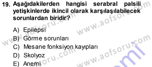 Özel Gereksinimli Bireyler ve Bakım Hizmetleri Dersi 2013 - 2014 Yılı (Final) Dönem Sonu Sınav Soruları 19. Soru