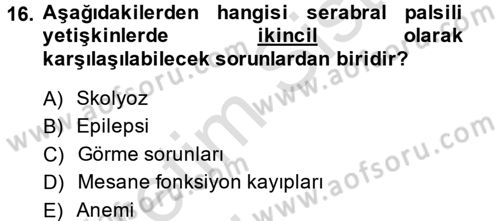 Özel Gereksinimli Bireyler ve Bakım Hizmetleri Dersi 2013 - 2014 Yılı Tek Ders Sınav Soruları 16. Soru