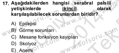 Özel Gereksinimli Bireyler ve Bakım Hizmetleri Dersi 2014 - 2015 Yılı Tek Ders Sınav Soruları 17. Soru