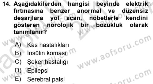 Özel Gereksinimli Bireyler ve Bakım Hizmetleri Dersi 2016 - 2017 Yılı (Vize) Ara Sınav Soruları 14. Soru
