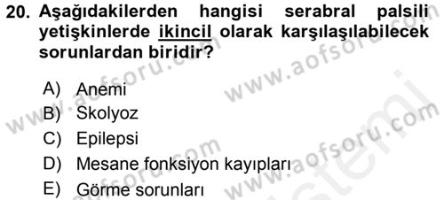 Özel Gereksinimli Bireyler ve Bakım Hizmetleri Dersi 2017 - 2018 Yılı 3 Ders Sınav Soruları 20. Soru