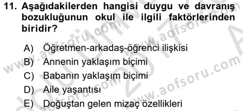 Özel Gereksinimli Bireyler ve Bakım Hizmetleri Dersi 2017 - 2018 Yılı (Vize) Ara Sınav Soruları 11. Soru