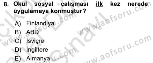 Sosyal Hizmet Uygulamaları Dersi 2016 - 2017 Yılı (Final) Dönem Sonu Sınav Soruları 8. Soru