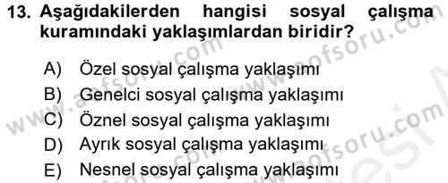 Sosyal Hizmet Uygulamaları Dersi 2017 - 2018 Yılı (Vize) Ara Sınavı 13. Soru