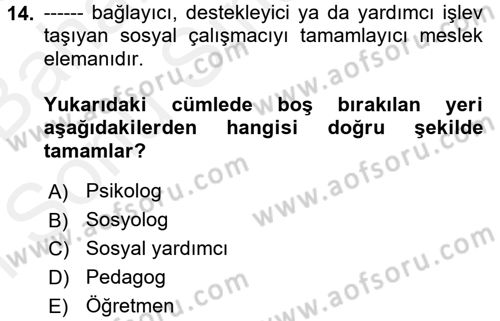 Sosyal Hizmet Uygulamaları Dersi 2017 - 2018 Yılı (Final) Dönem Sonu Sınav Soruları 14. Soru