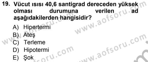 Yaşlı ve Hasta Bakım Hizmetleri Dersi 2012 - 2013 Yılı (Vize) Ara Sınav Soruları 19. Soru