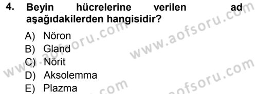 Yaşlı ve Hasta Bakım Hizmetleri Dersi 2012 - 2013 Yılı (Vize) Ara Sınav Soruları 4. Soru
