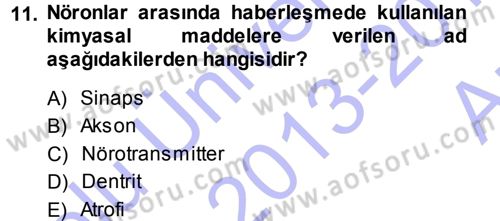 Yaşlı ve Hasta Bakım Hizmetleri Dersi 2013 - 2014 Yılı (Vize) Ara Sınav Soruları 11. Soru
