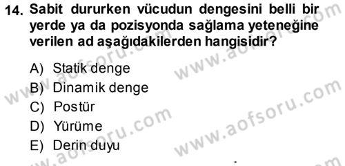 Yaşlı ve Hasta Bakım Hizmetleri Dersi 2013 - 2014 Yılı (Final) Dönem Sonu Sınav Soruları 14. Soru