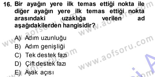 Yaşlı ve Hasta Bakım Hizmetleri Dersi 2013 - 2014 Yılı (Final) Dönem Sonu Sınav Soruları 16. Soru