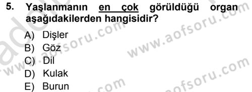Yaşlı ve Hasta Bakım Hizmetleri Dersi 2013 - 2014 Yılı Tek Ders Sınav Soruları 5. Soru