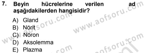 Yaşlı ve Hasta Bakım Hizmetleri Dersi 2013 - 2014 Yılı Tek Ders Sınav Soruları 7. Soru