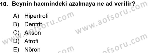 Yaşlı ve Hasta Bakım Hizmetleri Dersi 2015 - 2016 Yılı (Vize) Ara Sınav Soruları 10. Soru