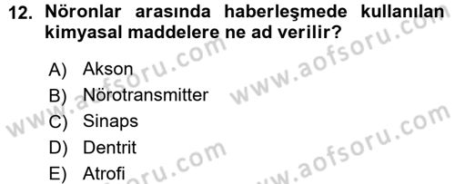 Yaşlı ve Hasta Bakım Hizmetleri Dersi 2015 - 2016 Yılı (Vize) Ara Sınav Soruları 12. Soru