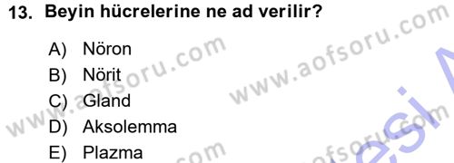 Yaşlı ve Hasta Bakım Hizmetleri Dersi 2015 - 2016 Yılı (Vize) Ara Sınav Soruları 13. Soru