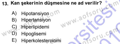 Yaşlı ve Hasta Bakım Hizmetleri Dersi 2015 - 2016 Yılı (Final) Dönem Sonu Sınav Soruları 13. Soru