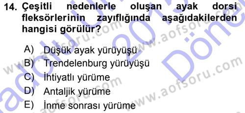Yaşlı ve Hasta Bakım Hizmetleri Dersi 2015 - 2016 Yılı (Final) Dönem Sonu Sınav Soruları 14. Soru