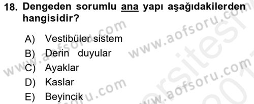 Yaşlı ve Hasta Bakım Hizmetleri Dersi 2016 - 2017 Yılı (Final) Dönem Sonu Sınav Soruları 18. Soru