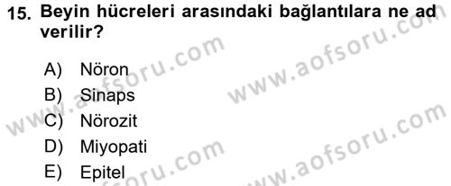 Yaşlı ve Hasta Bakım Hizmetleri Dersi 2017 - 2018 Yılı (Vize) Ara Sınav Soruları 15. Soru