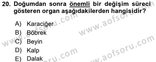 Yaşlı ve Hasta Bakım Hizmetleri Dersi 2017 - 2018 Yılı (Vize) Ara Sınav Soruları 20. Soru