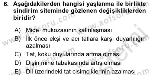 Yaşlı ve Hasta Bakım Hizmetleri Dersi 2017 - 2018 Yılı (Vize) Ara Sınav Soruları 6. Soru