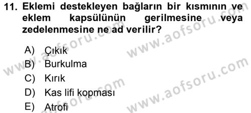 Yaşlı ve Hasta Bakım Hizmetleri Dersi 2017 - 2018 Yılı (Final) Dönem Sonu Sınav Soruları 11. Soru