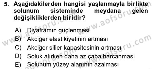 Yaşlı ve Hasta Bakım Hizmetleri Dersi 2017 - 2018 Yılı (Final) Dönem Sonu Sınav Soruları 5. Soru