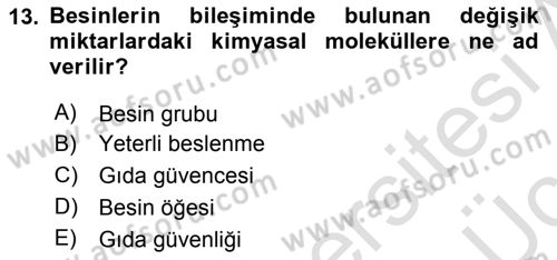 Yaşlı ve Hasta Bakım Hizmetleri Dersi 2018 - 2019 Yılı 3 Ders Sınavı 13. Soru