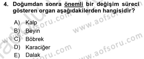 Yaşlı ve Hasta Bakım Hizmetleri Dersi 2018 - 2019 Yılı 3 Ders Sınavı 4. Soru