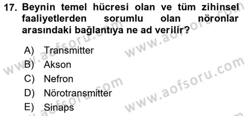 Yaşlı ve Hasta Bakım Hizmetleri Dersi Ara Sınavı Deneme Sınav Soruları 17. Soru