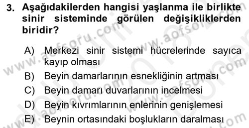 Yaşlı ve Hasta Bakım Hizmetleri Dersi 2018 - 2019 Yılı (Final) Dönem Sonu Sınav Soruları 3. Soru