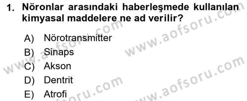 Yaşlı ve Hasta Bakım Hizmetleri Dersi 2018 - 2019 Yılı Yaz Okulu Sınav Soruları 1. Soru
