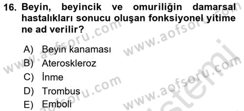 Yaşlı ve Hasta Bakım Hizmetleri Dersi 2019 - 2020 Yılı (Vize) Ara Sınav Soruları 16. Soru