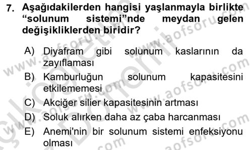 Yaşlı ve Hasta Bakım Hizmetleri Dersi 2019 - 2020 Yılı (Vize) Ara Sınav Soruları 7. Soru