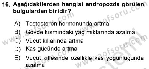 Yaşlı ve Hasta Bakım Hizmetleri Dersi 2020 - 2021 Yılı Yaz Okulu Sınav Soruları 16. Soru