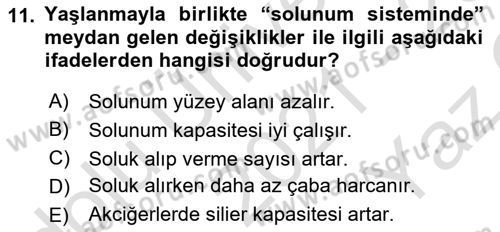 Yaşlı ve Hasta Bakım Hizmetleri Dersi 2021 - 2022 Yılı Yaz Okulu Sınav Soruları 11. Soru