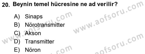 Yaşlı ve Hasta Bakım Hizmetleri Dersi 2022 - 2023 Yılı (Vize) Ara Sınav Soruları 20. Soru