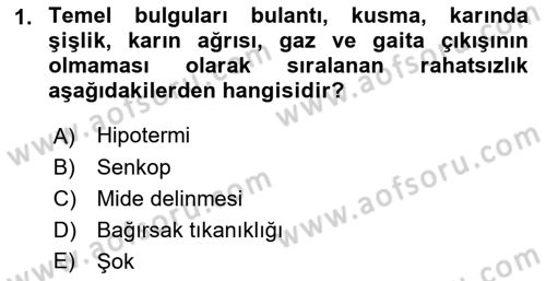 Yaşlı ve Hasta Bakım Hizmetleri Dersi 2022 - 2023 Yılı (Final) Dönem Sonu Sınav Soruları 1. Soru
