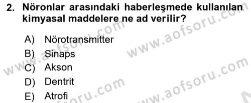 Yaşlı ve Hasta Bakım Hizmetleri Dersi 2023 - 2024 Yılı (Vize) Ara Sınav Soruları 2. Soru