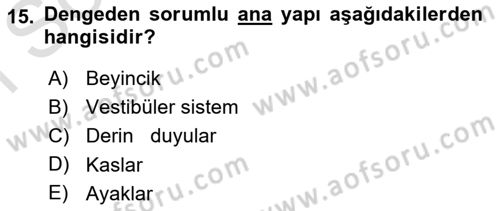 Yaşlı ve Hasta Bakım Hizmetleri Dersi Dönem Sonu Sınavı Deneme Sınav Soruları 15. Soru