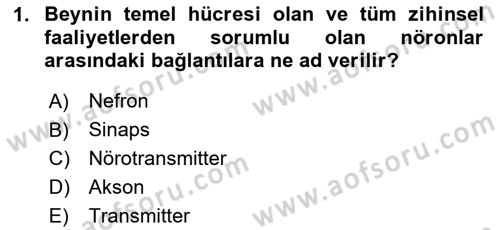 Yaşlı ve Hasta Bakım Hizmetleri Dersi 2024 - 2025 Yılı (Vize) Ara Sınav Soruları 1. Soru