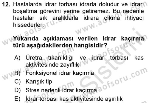 Yaşlı ve Hasta Bakım Hizmetleri Dersi 2024 - 2025 Yılı (Vize) Ara Sınav Soruları 12. Soru