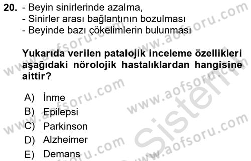 Yaşlı ve Hasta Bakım Hizmetleri Dersi 2024 - 2025 Yılı (Vize) Ara Sınav Soruları 20. Soru