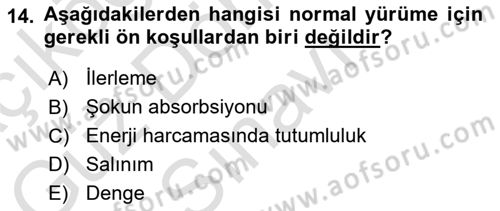 Yaşlı ve Hasta Bakım Hizmetleri Dersi 2024 - 2025 Yılı (Final) Dönem Sonu Sınav Soruları 14. Soru