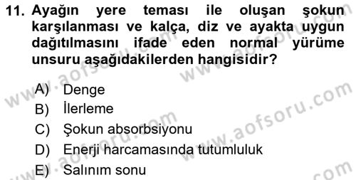 Yaşlı ve Hasta Bakım Hizmetleri Dersi 2024 - 2025 Yılı Yaz Okulu Sınav Soruları 11. Soru