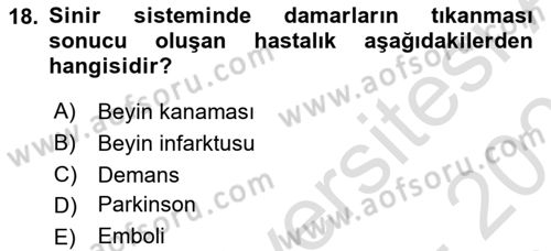 Yaşlı ve Hasta Bakım Hizmetleri Dersi 2025 - 2026 Yılı (Vize) Ara Sınav Soruları 18. Soru