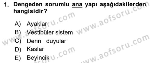 Yaşlı ve Hasta Bakım Hizmetleri Dersi 2025 - 2026 Yılı (Final) Dönem Sonu Sınav Soruları 1. Soru